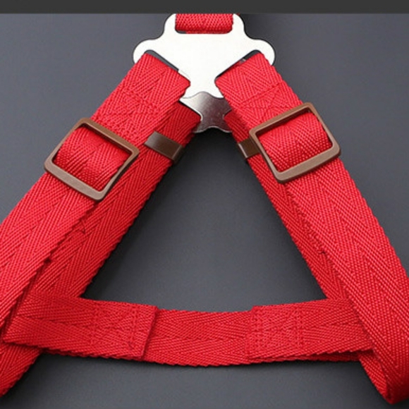 3 Piece, Messsge Me For Colors, Dog harness, collars, and leash set - Picture 5 of 9